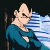 Vegeta 15
