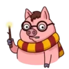 Potter Pig 11