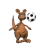 fútbol 14