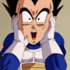 Vegeta 16