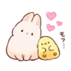 Soft and Cute Chicks Animation 3 13