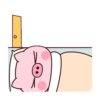 冷兔寶寶防疫動態 8