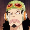 onepiece 11