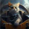 🧿Gatos Gatitos🐱🐈 13