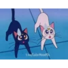 Sailor Moon 18