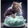 🧿Gatos Gatitos🐱🐈 14