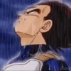 Vegeta 17