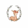 Variados cutes 8 clásica 16