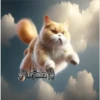 🧿Gatos Gatitos🐱🐈 15