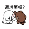 Hyper BROWN 2動態 12
