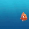Finding Nemo 13
