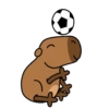 Código carpincho 13
