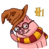 Potter Pig 14