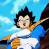 Vegeta 18
