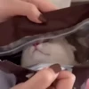 CatSticker 17