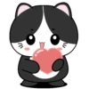 🖤😻Baby Tuxe do Cat😻🖤.MOV 12