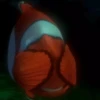 Finding Nemo 14