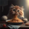 🧿Gatos Gatitos🐱🐈 16