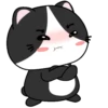 🖤😻Baby Tuxe do Cat😻🖤.MOV 13