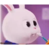 Cutu rabbit 🐇🐰 ❤ @r_squared_rishabh — @stckrRobot 16