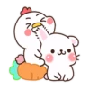 🍭Li Xi rabbit 3 MOV🍭 17