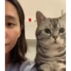Pussykittys 10
