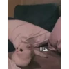 BaBy, 17