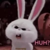 Cutu rabbit 🐇🐰 ❤ @r_squared_rishabh — @stckrRobot 20