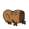 Código carpincho 16
