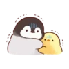 Soft and Cute Chicks Animation 3 17