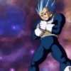 Vegeta 19