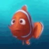 Finding Nemo 20