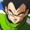 Vegeta 20