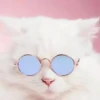 Gojo_A's 10
