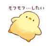 Soft and Cute Chicks Animation 3 18