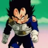 Vegeta 21