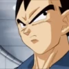Vegeta 22