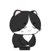 🖤😻Baby Tuxe do Cat😻🖤.MOV 16