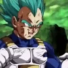 Vegeta 24