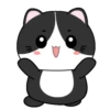 🖤😻Baby Tuxe do Cat😻🖤.MOV 19