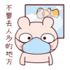 冷兔寶寶防疫動態 16
