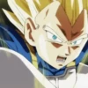 Vegeta 25