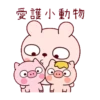 冷兔寶寶防疫動態 17