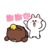 Hyper BROWN 2動態 16