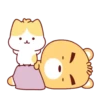 YELLOW BEAR 20