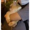 Pussykittys 12