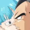 Vegeta 26