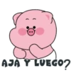 AJA Y LUEGO?