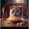 🧿Gatos Gatitos🐱🐈 22