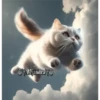 🧿Gatos Gatitos🐱🐈 23